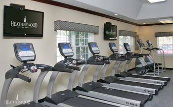 treadmills all in a row at Medford Pond, Medford, New York